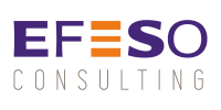 EFESO Consulting